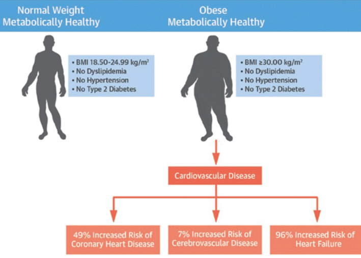 Efectos de la pérdida de peso en el riesgo cardiovascular en la persona con diabetes y obesidad