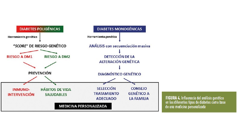 Cómo prescribir el ejercicio físico a la persona con diabetes