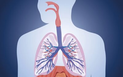 Insulina inhalada: pasado, presente y perspectivas de futuro en el tratamiento de la diabetes tipo 1
