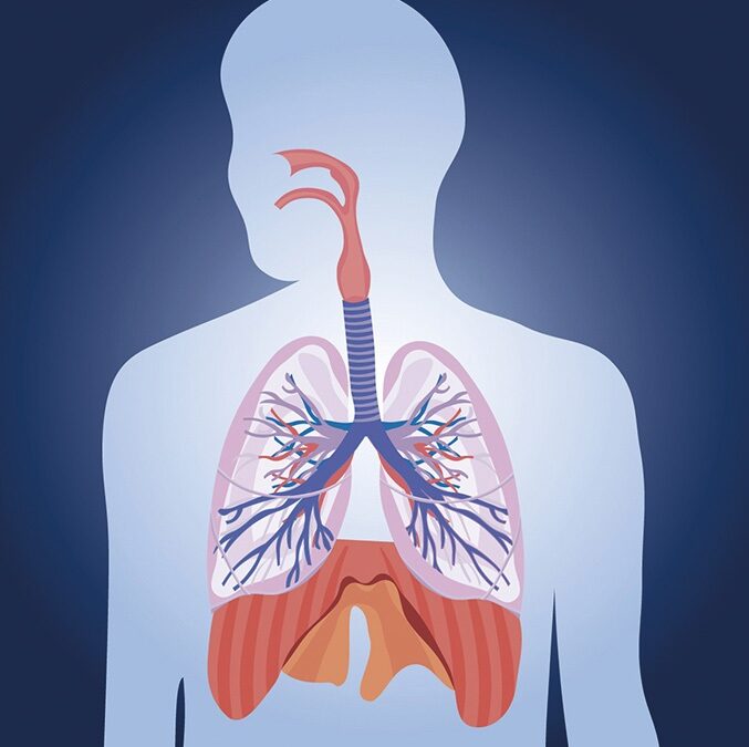 Insulina inhalada: pasado, presente y perspectivas de futuro en el tratamiento de la diabetes tipo 1