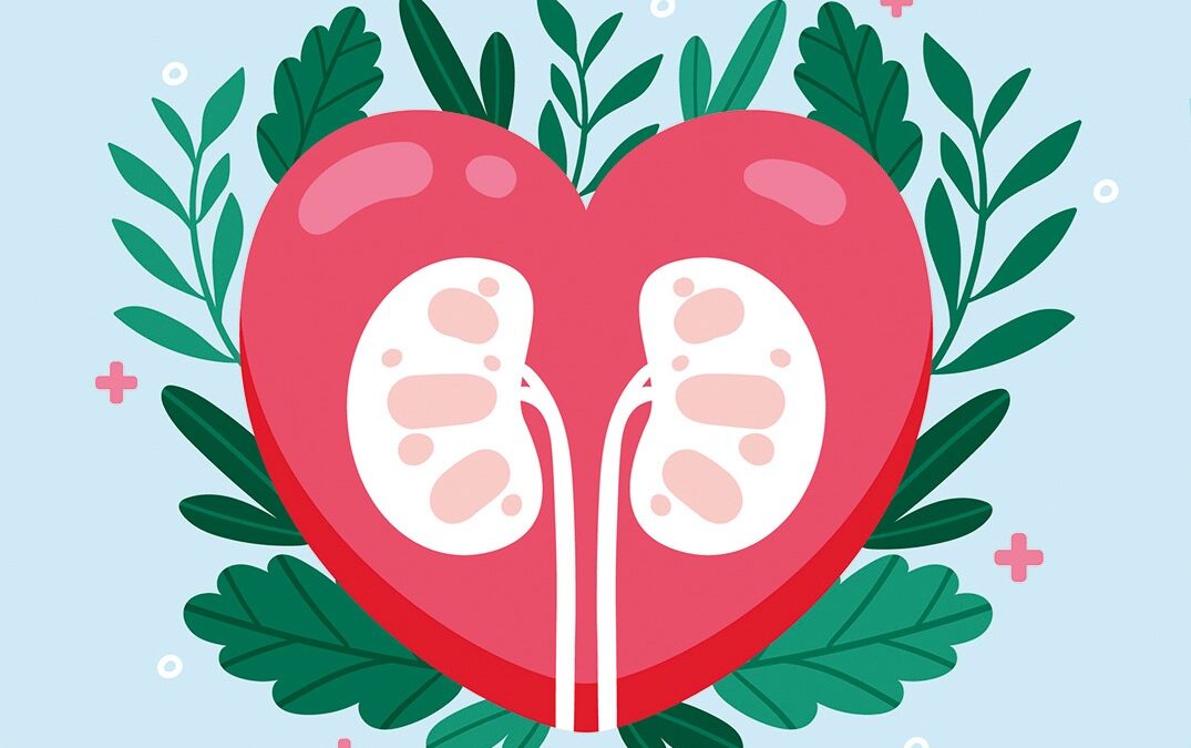 Utilidad actual de los iSGLT2 en personas con diabetes tipo 1